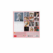 Mini Calendrier Chat 2025 Chatons Bbs