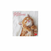 Mini Calendrier mural 2025 Chatons Bbs