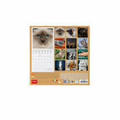 Mini Calendrier Chatons 2025 Chats 