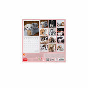 Mini Calendrier Chatons Chiens 2025 Meilleurs Amis Animaux