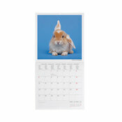 Mini Calendrier 2025 Lapins