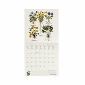 Mini Calendrier 2025 Herbier Botanique