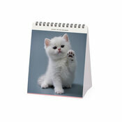 Calendrier Chevalet 2025 Chatons Bb