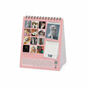 Calendrier Chevalet 2025 Chatons