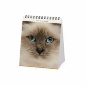 Calendrier Chevalet 2025 Chats