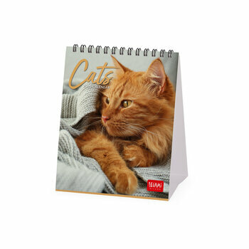 Calendrier Chevalet 2025 Chats