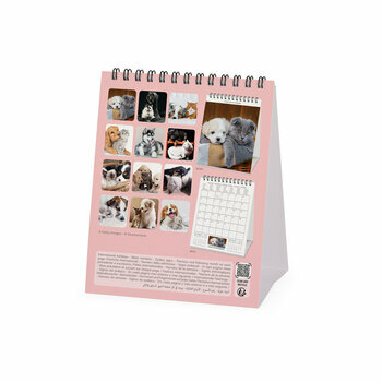 Calendrier Chevalet 2025 Animaux Amis
