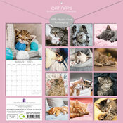 Calendrier Chatons 2025 Chats Endormis Sieste