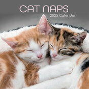 Calendrier Mural 2025 Chats Endormis Sieste