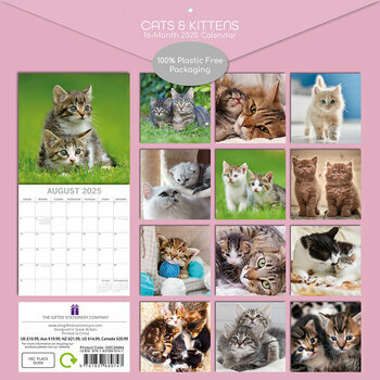 Calendrier 2025 Chats et Chatons