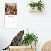 Calendrier Papier 2025 Chats Chatons