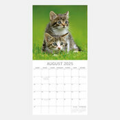 Calendrier 2025 Chats 