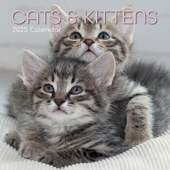 Calendrier 2025 Chats et Chatons