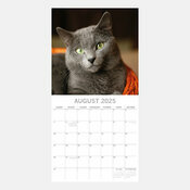 Calendrier 2025 Chats de Race Varies Chartreux