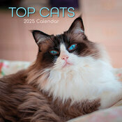 Calendrier 2025 Chats de Race Varies Ragdoll