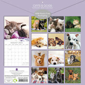 Calendrier papier  2025 Chats et Chiens Drles