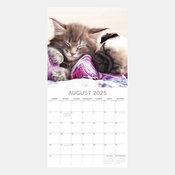 Calendrier Chatons 2025 Chats et Chiens Drles