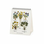 Calendrier Chevalet  poser 2025 Herbier Botanique Fleurs