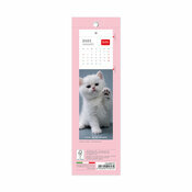 Calendrier Marque Page Livre 2025 Chatons Bbs