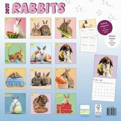 Calendrier papier 2025 Lapins Fun Studio