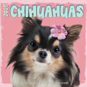 Calendrier Mural 2025 Chihuahua Fun Studio