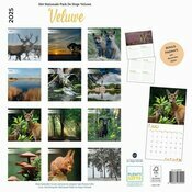 Calendrier Papier 2025 Animaux de la Fort