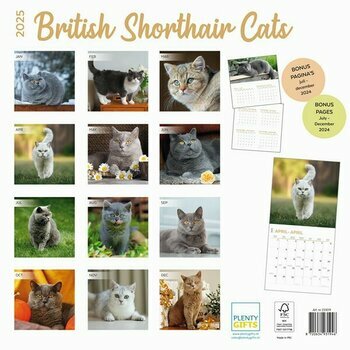 Calendrier 2025 British Shorthair Chats de Race