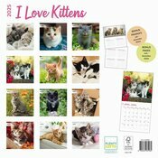 Calendrier Papier 2025 Amour des Chatons 