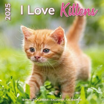 Calendrier 2025 Amour des Chatons 