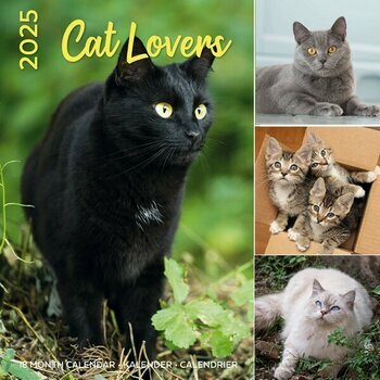 Calendrier 2025 Amour des Chats Passion 