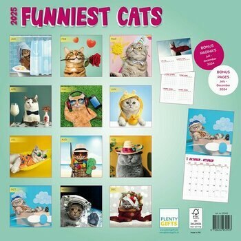 Calendrier 2025 Chats Humour Fun Studio