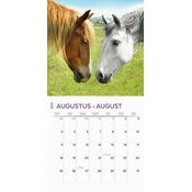 Calendrier 2025 Amoureux des Chevaux