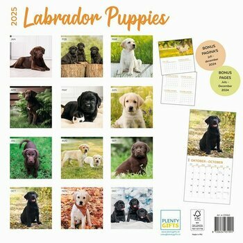 Calendrier 2025 Labradors Chiots Toutes Couleurs