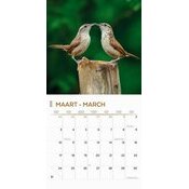 Calendrier 2025 Oiseaux du Jardin Nature