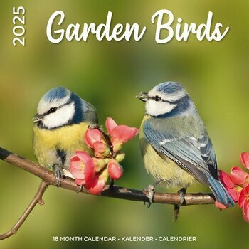 Calendrier 2025 Oiseaux du Jardin Nature