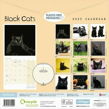 Calendrier 2025 Chats et Chatons Noirs