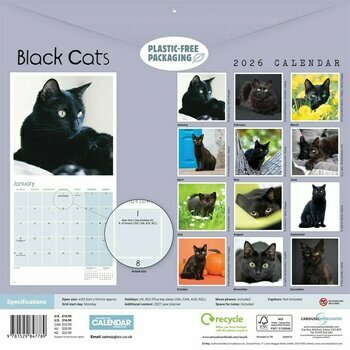 Calendrier 2026 Chats et Chatons Noirs Calendrier 2026 Chats et Chatons Noirs