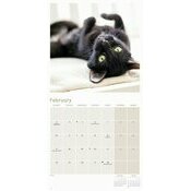 Calendrier 2025 Chats Noirs