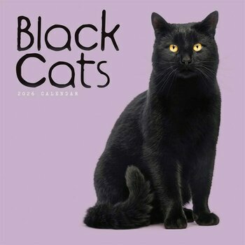 Calendrier 2026 Chats et Chatons Noirs Calendrier 2026 Chats et Chatons Noirs