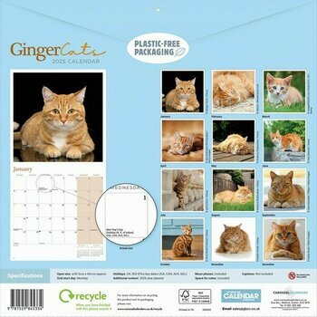 Calendrier 2025 Chats Roux Charmant