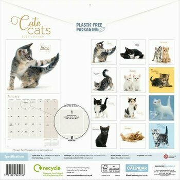 Calendrier 2025 Chats Trop Mignons