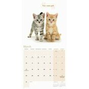 Calendrier 2025 Chats Trop Mignons