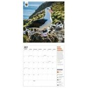 Calendrier 2025 Animaux sauvages WWF