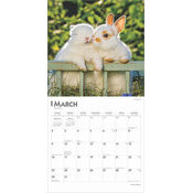 Calendrier bbs 2025 Lapins Mignons