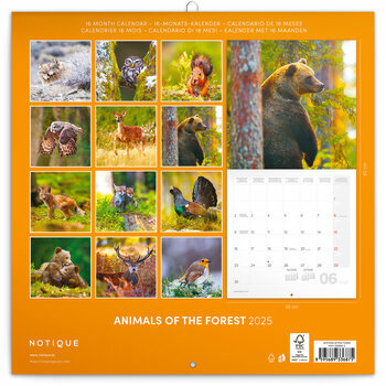 Calendrier 2025 Animaux de la Forêt