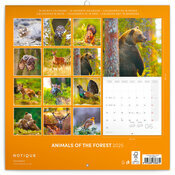 Calendrier Mural 2025 Animaux de la Fort