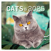 Calendrier Mural 2025 Chats Affectueux et Espigles