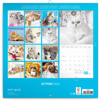 Calendrier 2025 Chatons Mignons et Espiègles