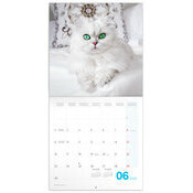 Calendrier 2025 Chatons Mignons et Espigles