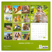 Calendrier Mural 2025 Animaux Cutes